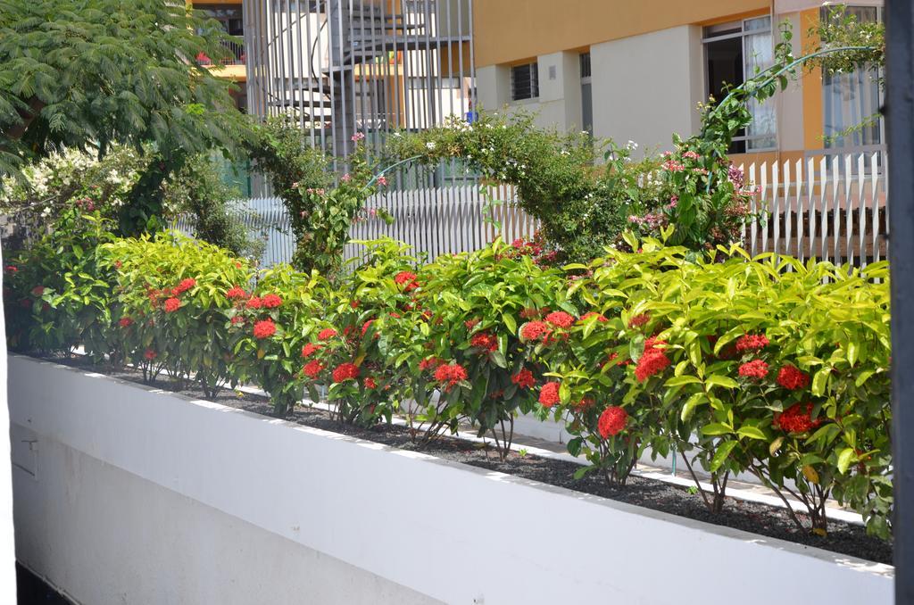 Alsol Las Orquideas Playa del Ingles  Bagian luar foto