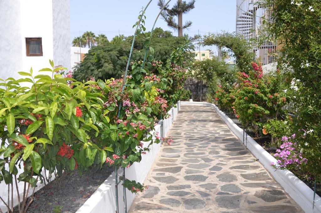 Alsol Las Orquideas Playa del Ingles  Bagian luar foto